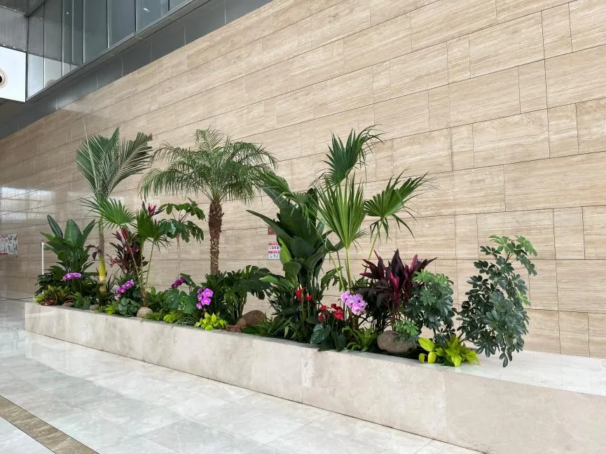 领略宁波北仑绿植租摆魅力，畅享绿色办公时光！